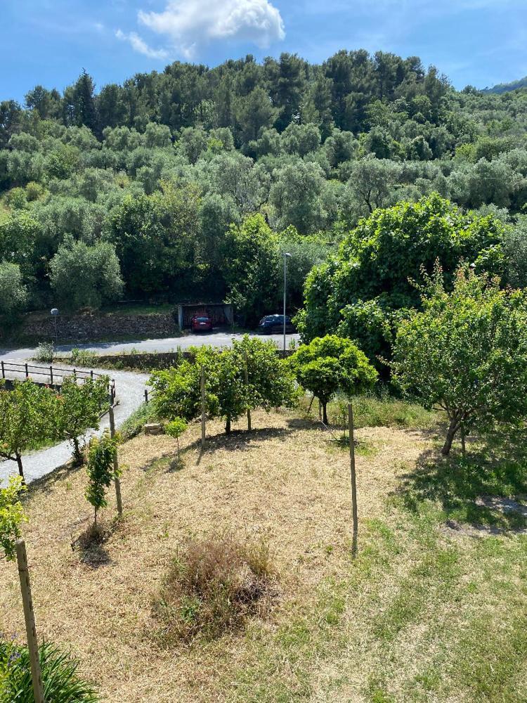Appartamento Andora Tra Gli Ulivi Molino Nuovo  Exterior foto